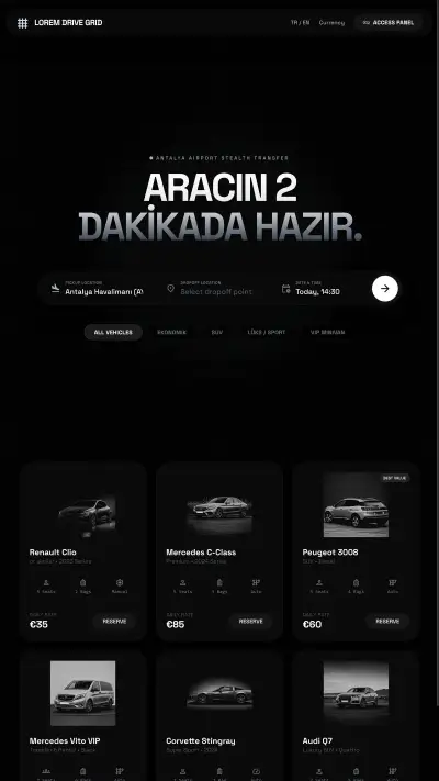 租车 / 汽车行业